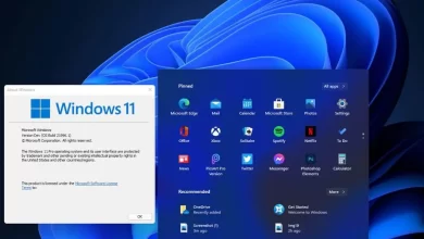 Problemas Comuns de Inicialização no Windows