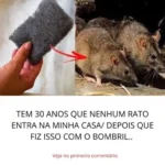 30 Anos sem Rato na minha casa depois que fiz isso com bombril