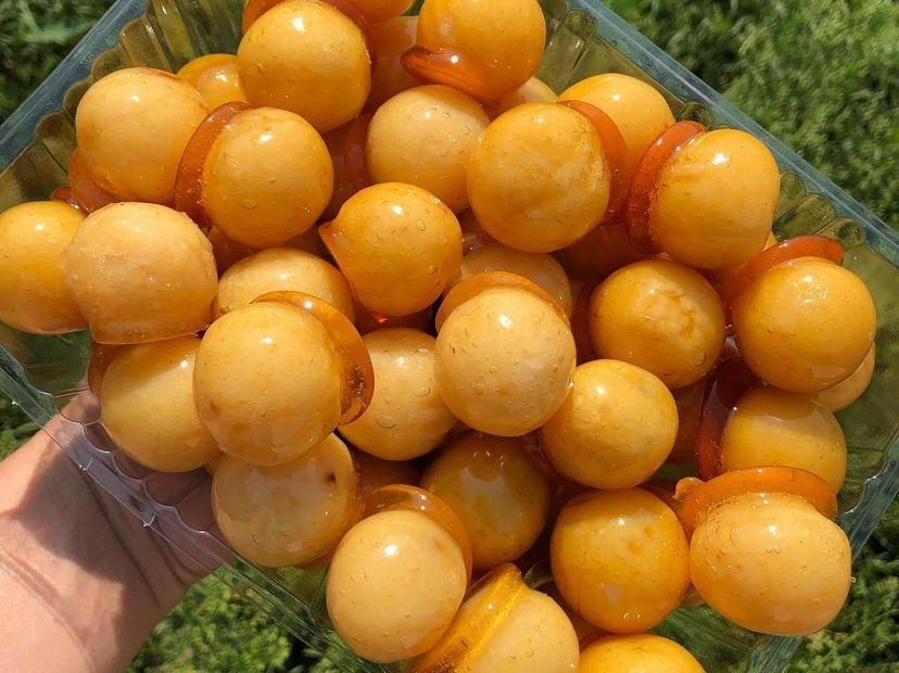Bala baiana caseira simples e deliciosa