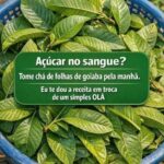 Chá de goiaba para abaixar o açúcar no sangue