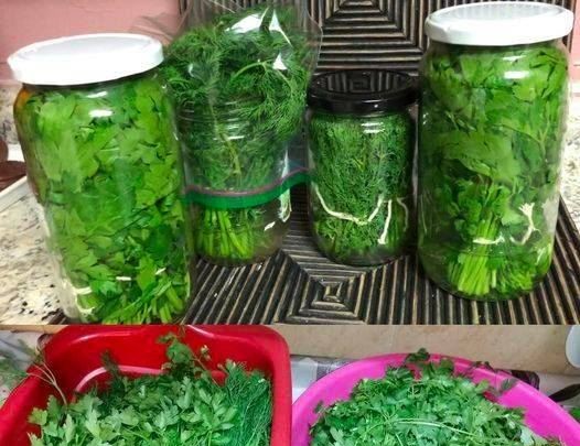 Como Conservar Salsa Fresca por um Ano
