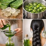 Como fazer óleo de aloe vera para acelerar o crescimento do cabelo e evitar a queda