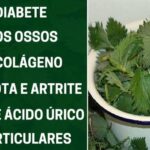 Essa folha acaba com a dor na coluna, no corpo, joelho e deixa os osso fortes