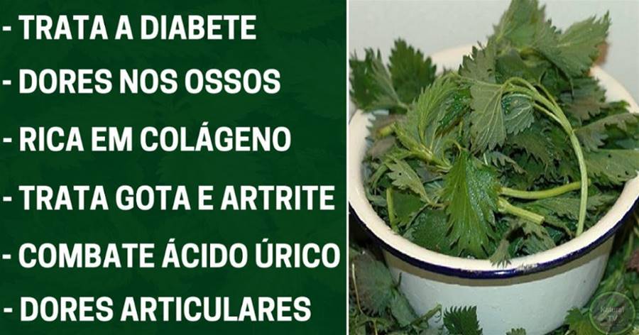Essa folha acaba com a dor na coluna, no corpo, joelho e deixa os osso fortes