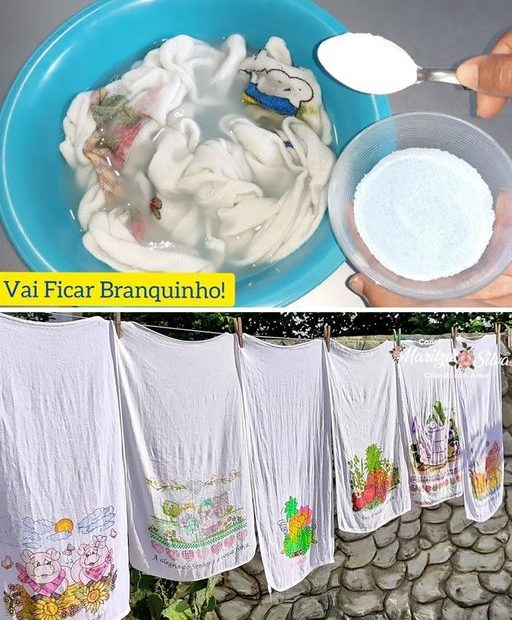 Misturinha caseira para branquear seus panos de pratos, apenas 3 ingredientes