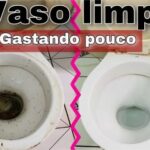 Veja como limpar vaso sanitário encardido e deixá-lo como novo
