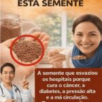 A semente que deixou os hospitais vazios”: mito ou verdade?